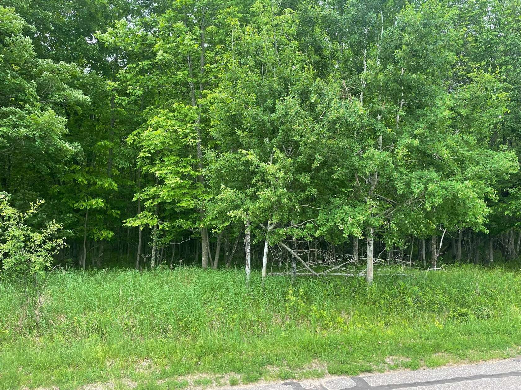 1.85 Acres of Residential Land for Sale in Park Falls, Wisconsin