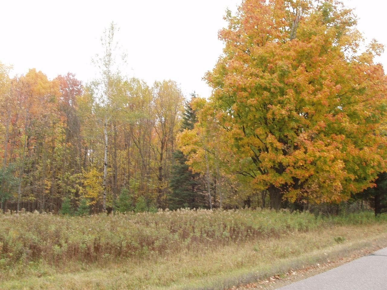 1.9 Acres of Residential Land for Sale in Park Falls, Wisconsin