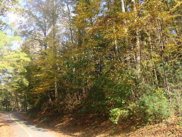 0.5 Acres of Residential Land for Sale in Fancy Gap, Virginia