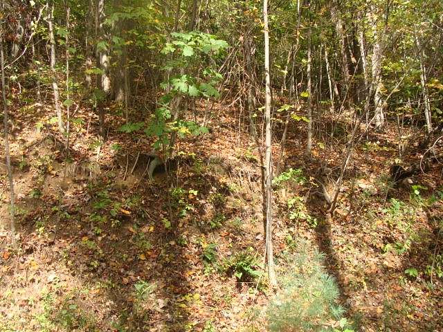 0.5 Acres of Residential Land for Sale in Fancy Gap, Virginia