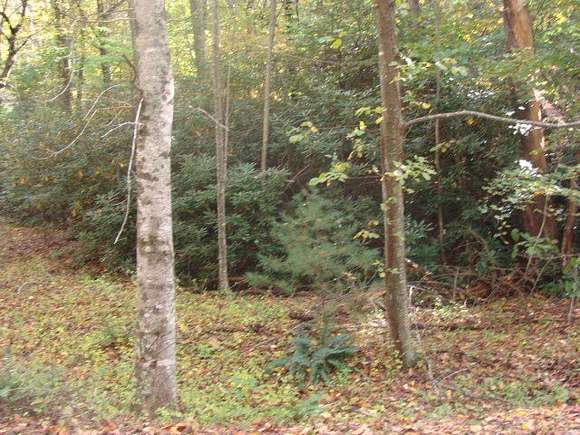 0.533 Acres of Land for Sale in Fancy Gap, Virginia