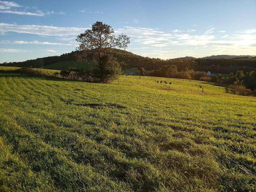 0.95 Acres of Residential Land for Sale in Ennice, North Carolina