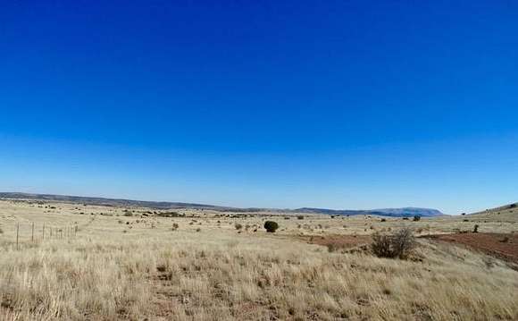 16.7 Acres of Land for Sale in Alpine, Texas