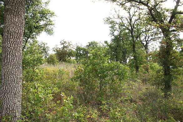 1.1 Acres of Land for Sale in Gordon, Texas
