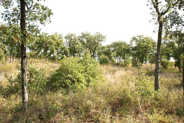 1 Acre of Residential Land for Sale in Gordon, Texas