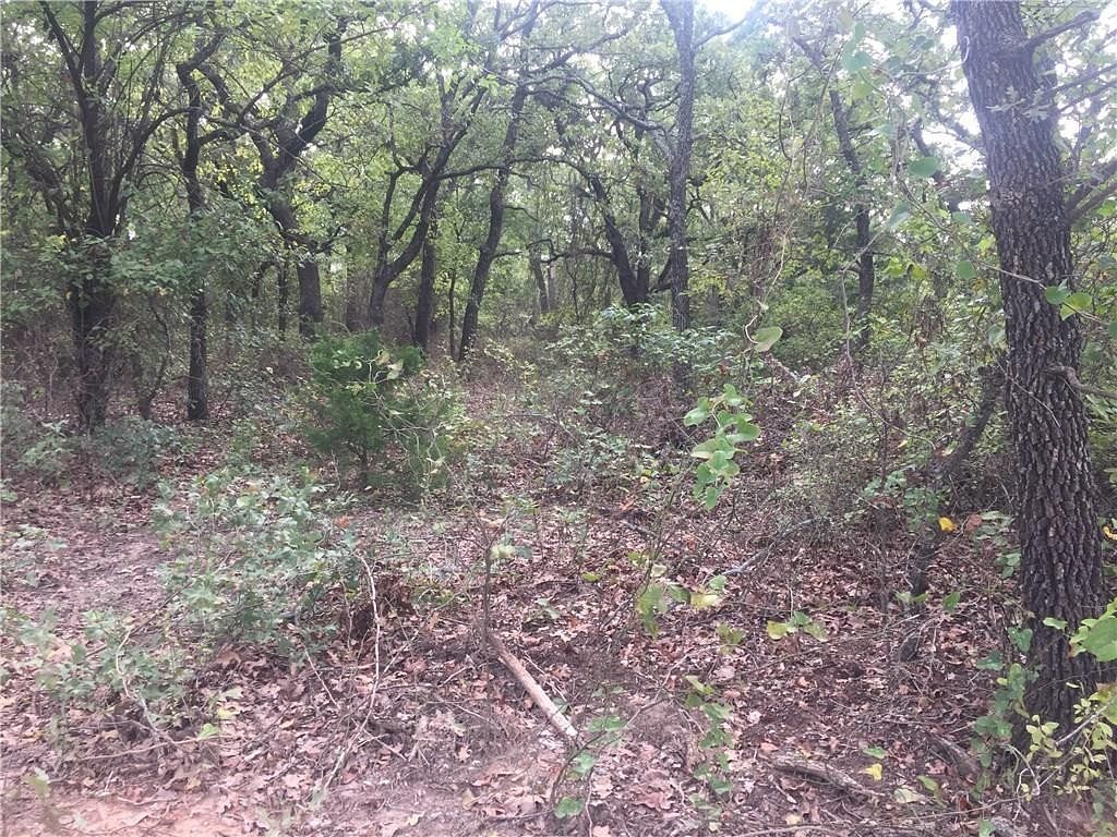 253 Acres of Recreational Land for Sale in St. Jo, Texas