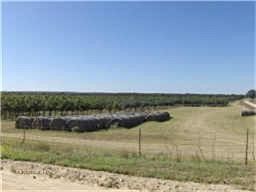 98 Acres of Land for Sale in Comanche, Texas