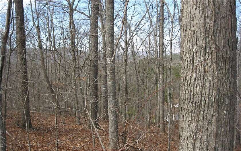 1.29 Acres of Residential Land for Sale in Young Harris, Georgia