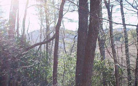 1.25 Acres of Land for Sale in Hiawassee, Georgia