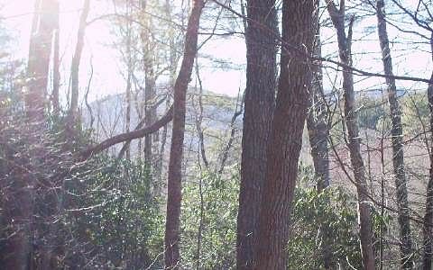 1.3 Acres of Land for Sale in Hiawassee, Georgia