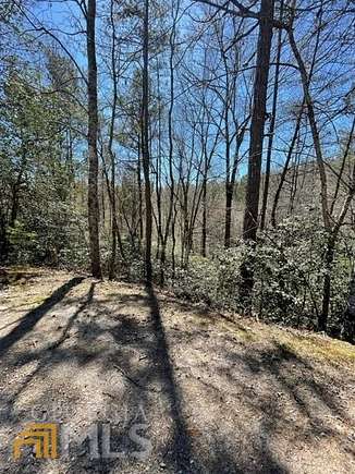 1.4 Acres of Residential Land for Sale in Warne, North Carolina