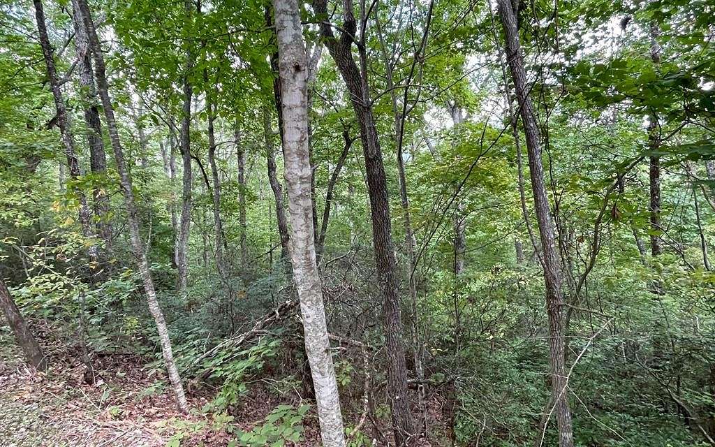 2.24 Acres of Land for Sale in Hayesville, North Carolina