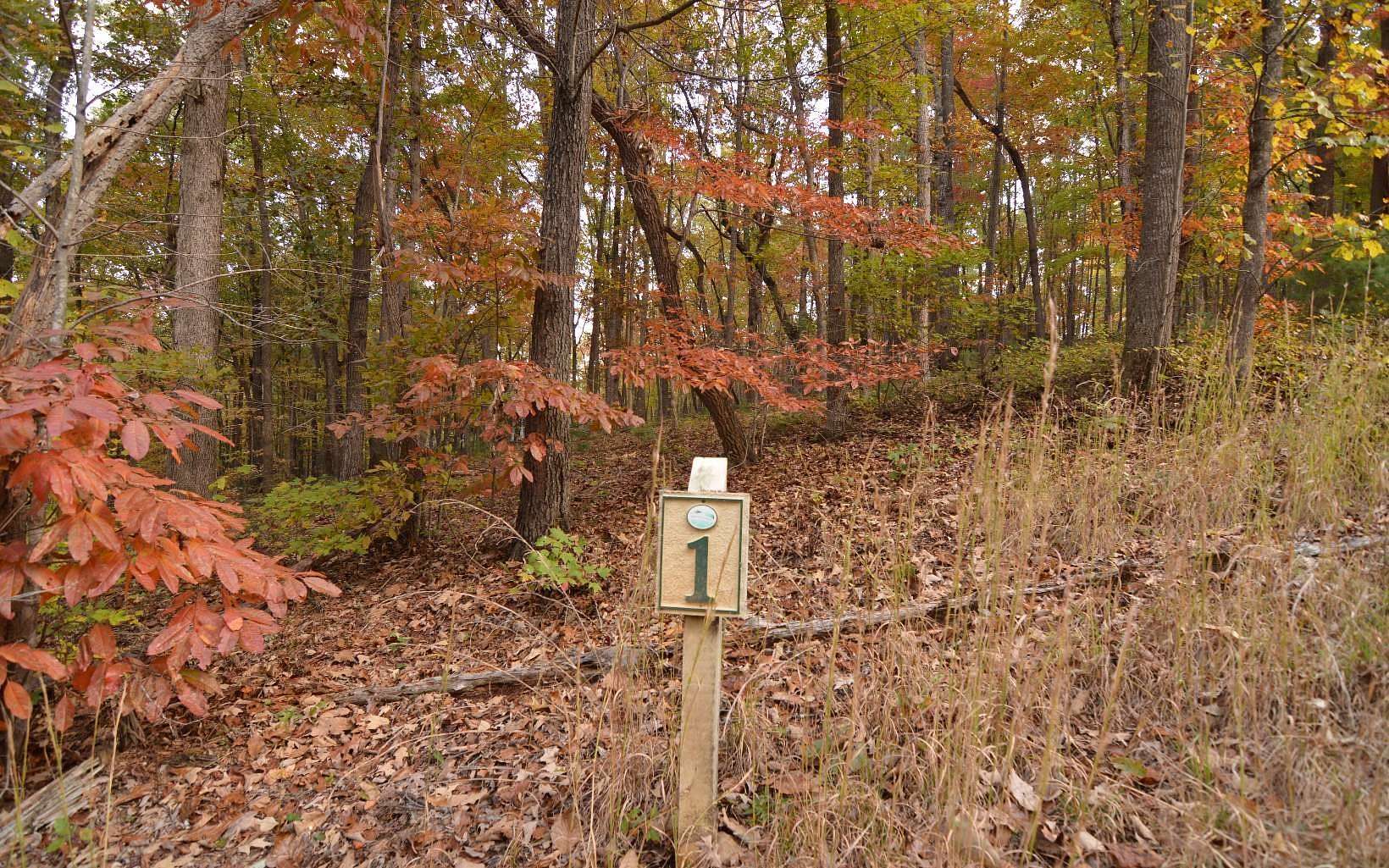 0.87 Acres of Residential Land for Sale in Blairsville, Georgia