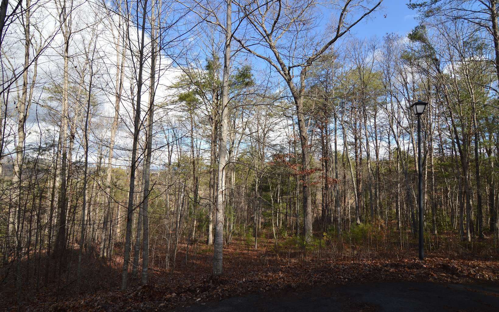 1.38 Acres of Residential Land for Sale in Blairsville, Georgia