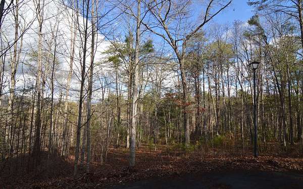 1.38 Acres of Residential Land for Sale in Blairsville, Georgia