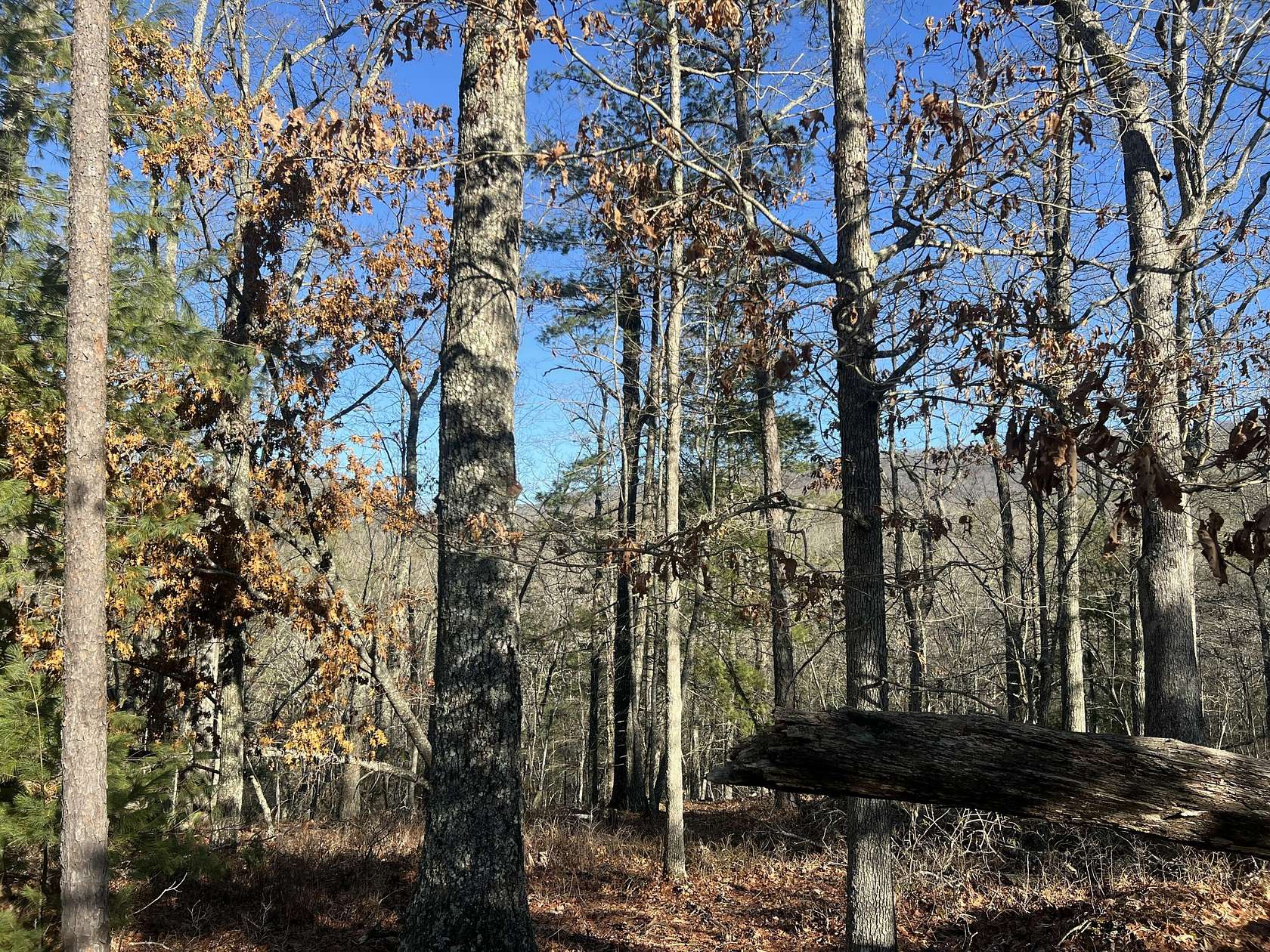40.8 Acres of Recreational Land for Sale in New Castle, Virginia