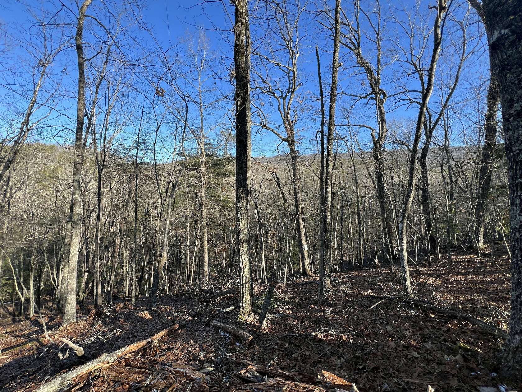 40.8 Acres of Recreational & Residential Land for Sale in New Castle, Virginia