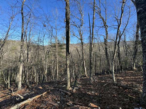 40.8 Acres of Recreational & Residential Land for Sale in New Castle, Virginia