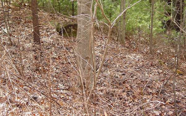 1 Acre of Residential Land for Sale in Hiawassee, Georgia