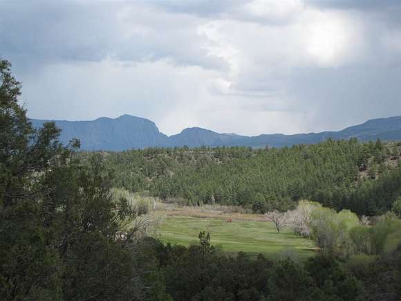 27.43 Acres of Recreational Land for Sale in Rutheron, New Mexico