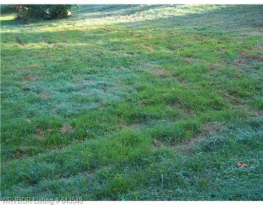 1 Acre of Land for Sale in Paris, Arkansas