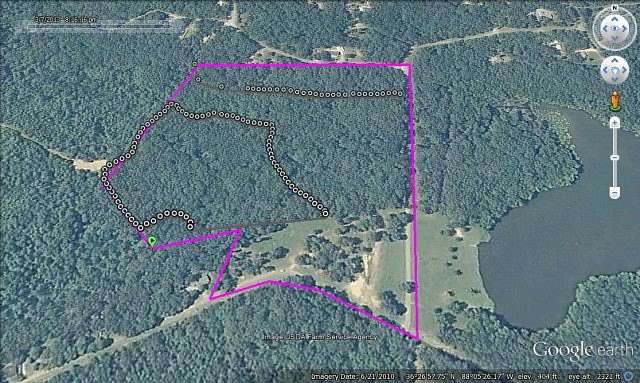 40 Acres of Land for Sale in Buchanan, Tennessee