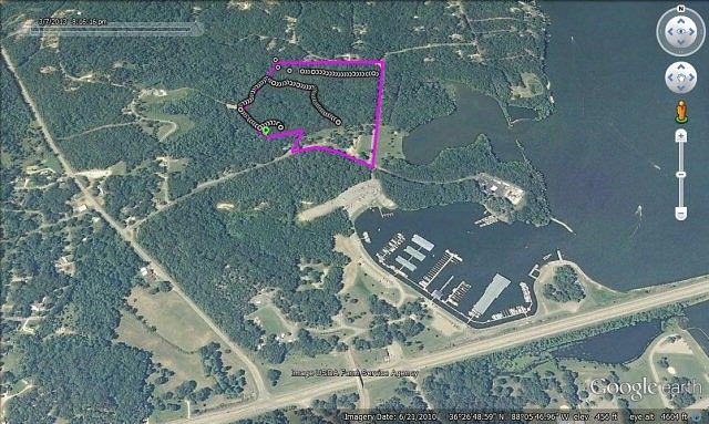40 Acres of Land for Sale in Buchanan, Tennessee