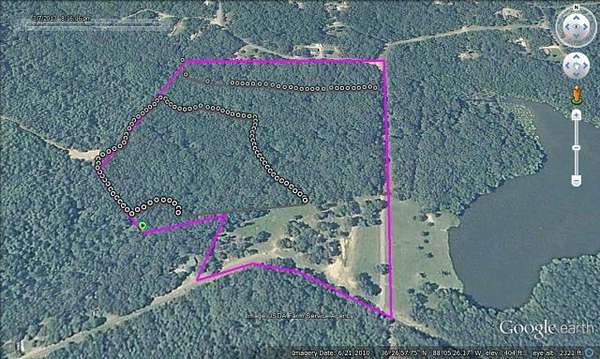 40 Acres of Land for Sale in Buchanan, Tennessee