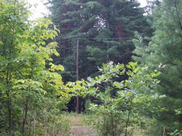 8.6 Acres of Land for Sale in Beaver, West Virginia