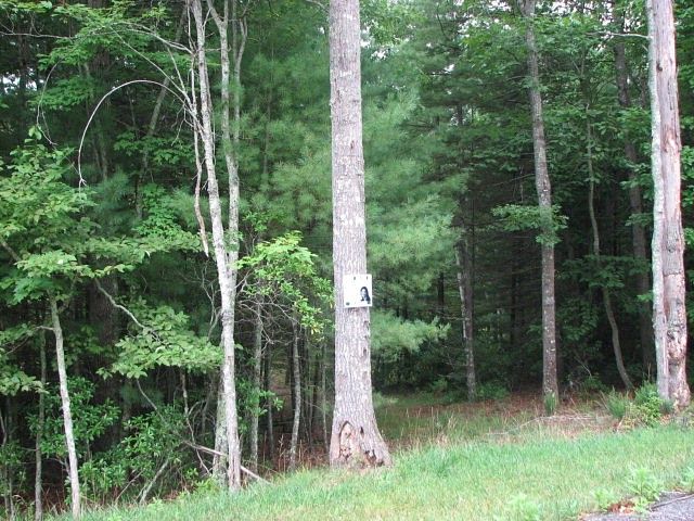 0.37 Acres of Land for Sale in Daniels, West Virginia