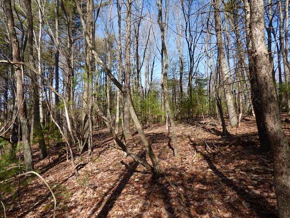 0.45 Acres of Land for Sale in Daniels, West Virginia