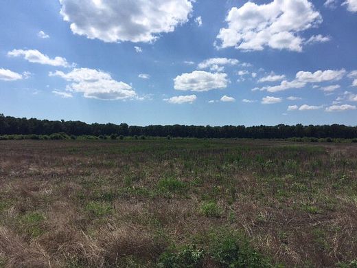 53.4 Acres of Land for Sale in New Church, Virginia