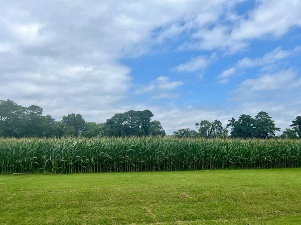 2 Acres of Residential Land for Sale in New Church, Virginia
