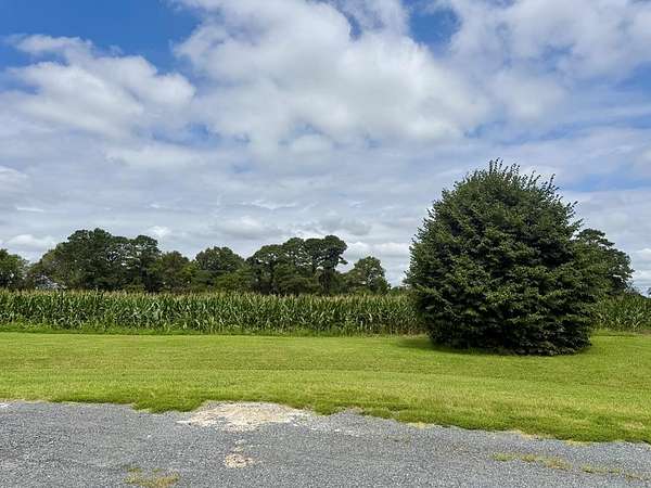 3 Acres of Residential Land for Sale in New Church, Virginia