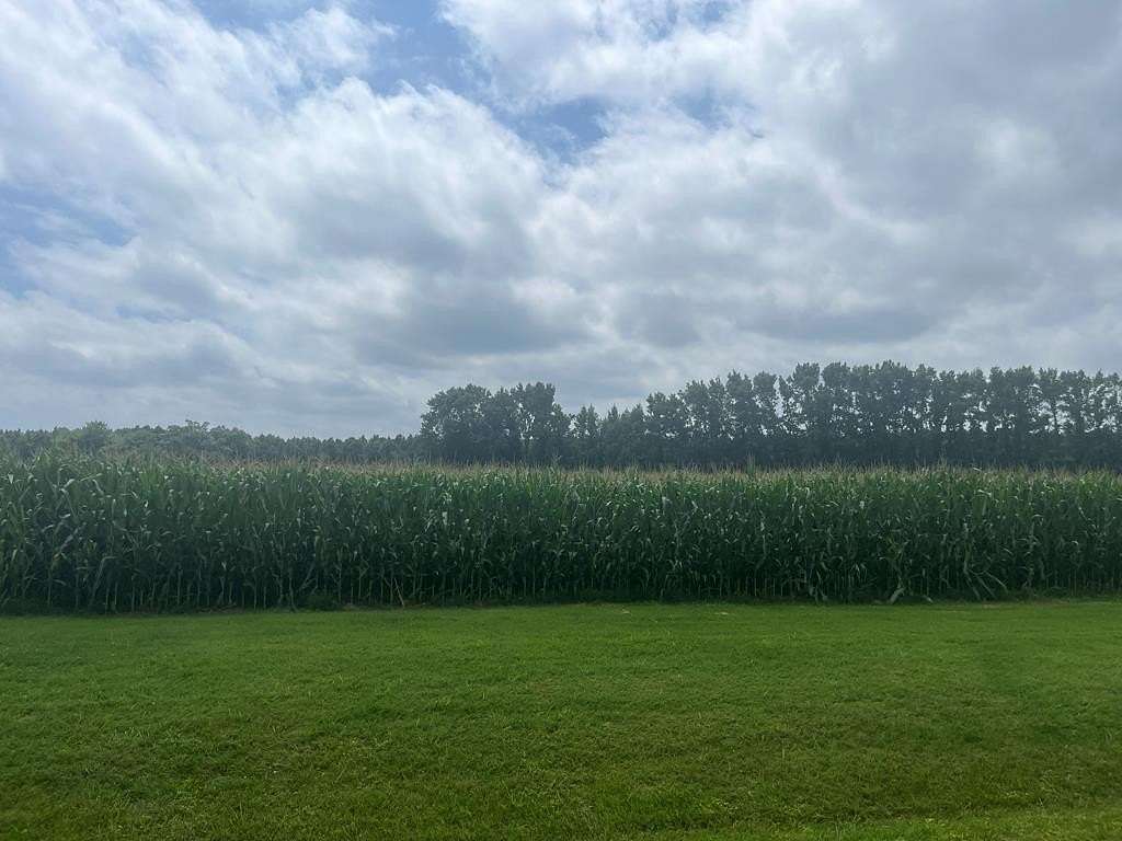 1 Acre of Residential Land for Sale in New Church, Virginia