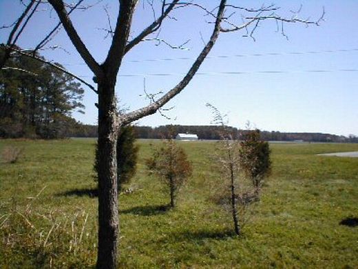 7 Acres of Land for Sale in New Church, Virginia