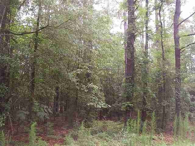 0.63 Acres of Residential Land for Sale in Hartsville, South Carolina