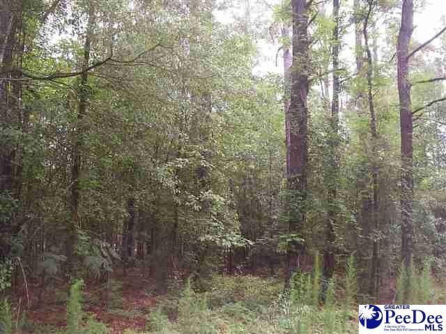 0.54 Acres of Residential Land for Sale in Hartsville, South Carolina
