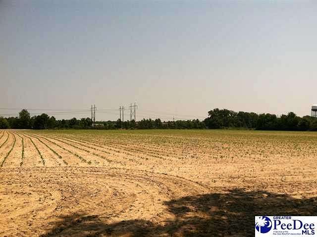 38.6 Acres of Agricultural Land for Sale in Florence, South Carolina