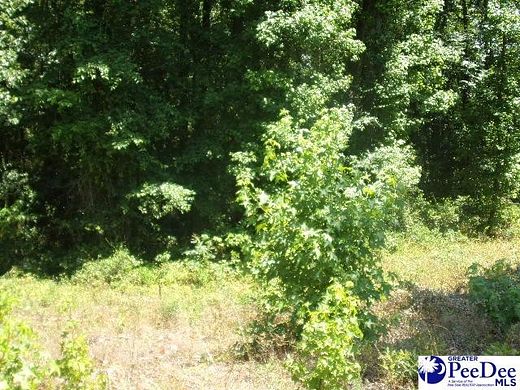 0.9 Acres of Residential Land for Sale in Hartsville, South Carolina