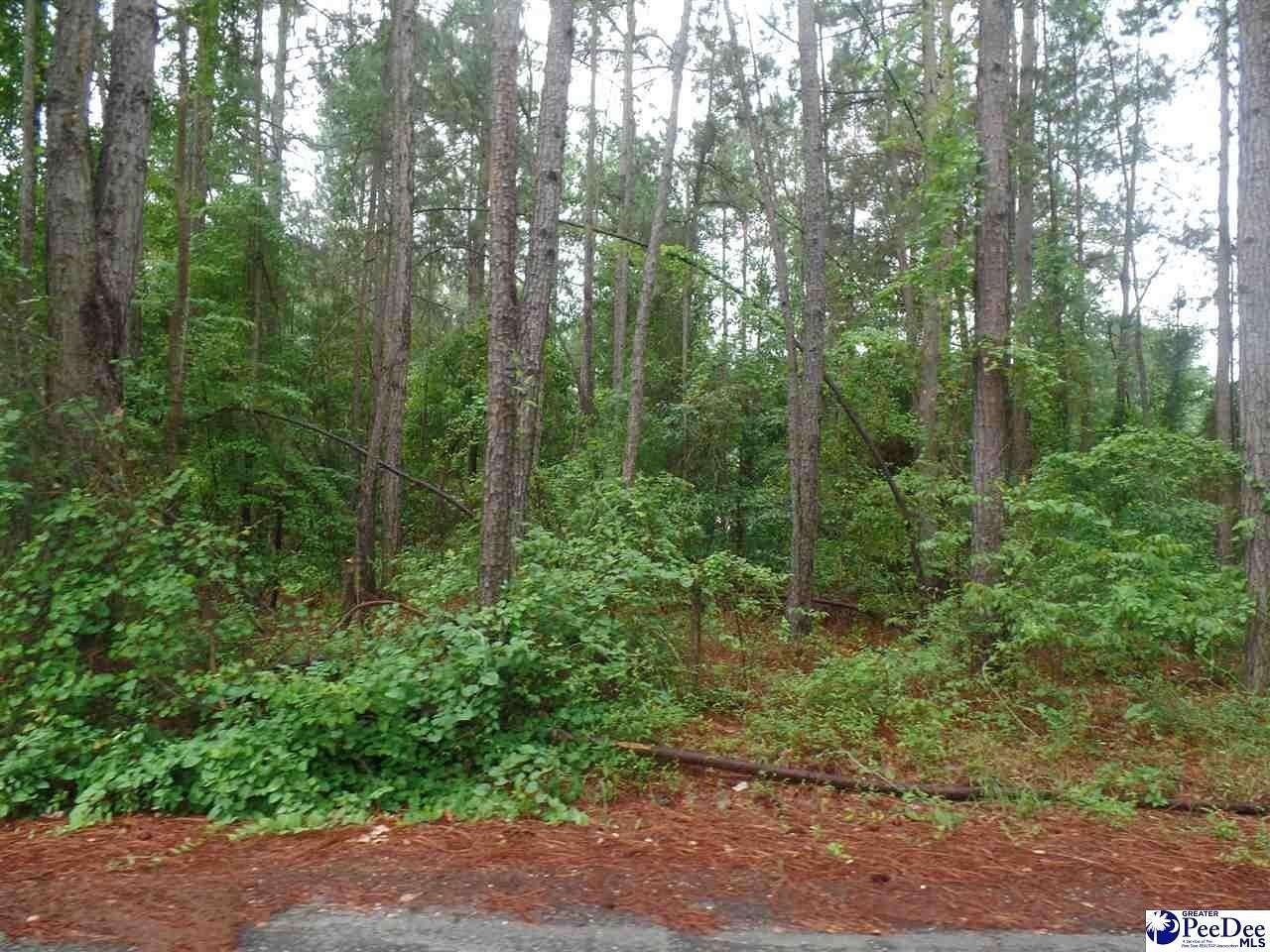 0.21 Acres of Residential Land for Sale in Hartsville, South Carolina
