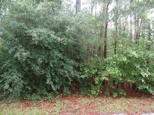 0.39 Acres of Residential Land for Sale in Hartsville, South Carolina