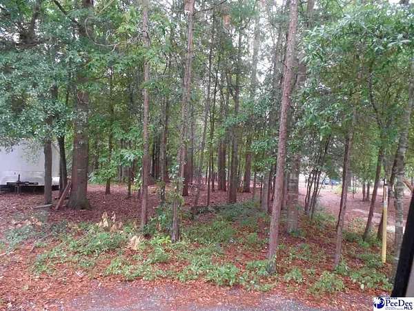 0.32 Acres of Residential Land for Sale in Hartsville, South Carolina