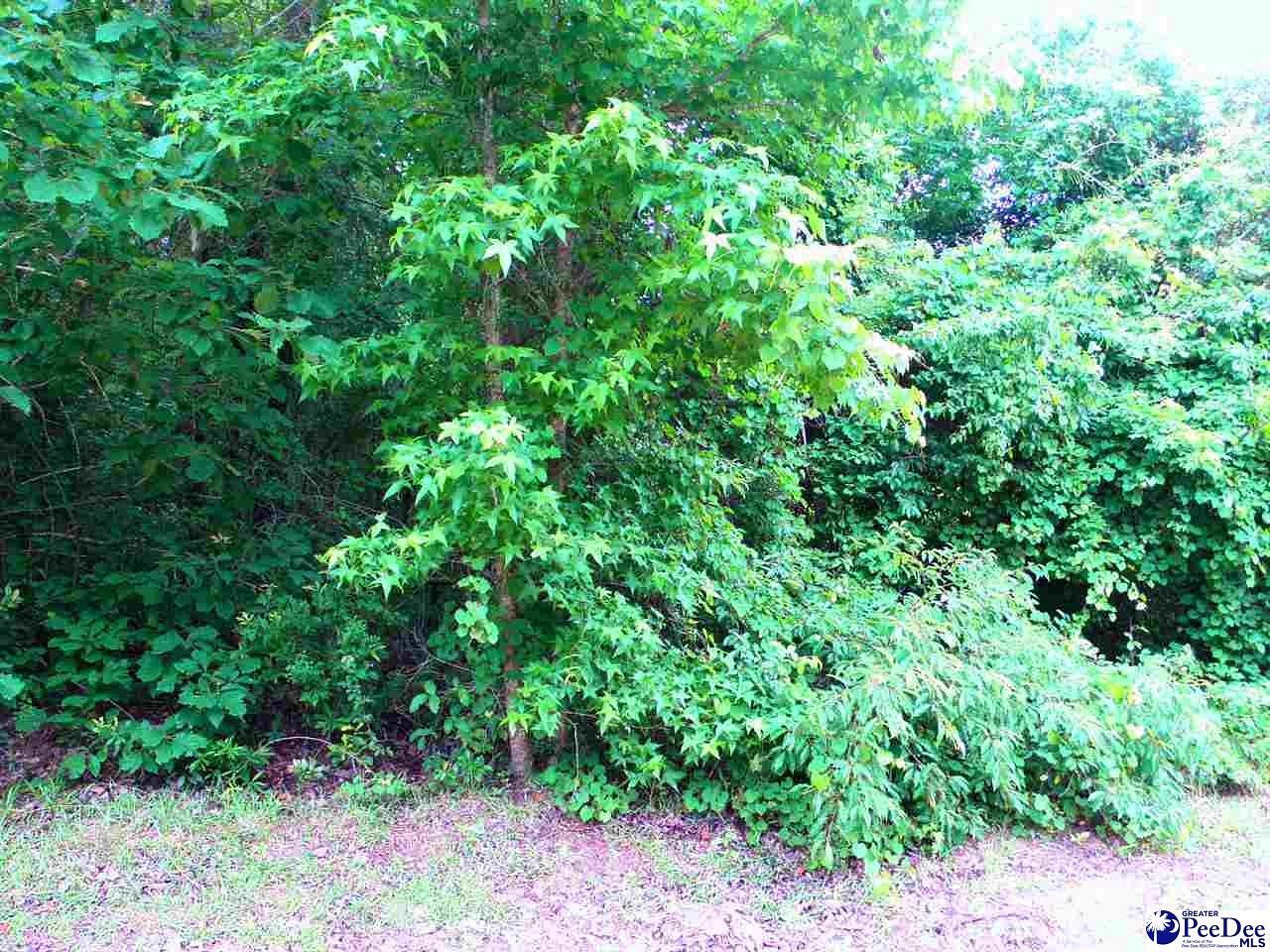 1.1 Acres of Residential Land for Sale in Timmonsville, South Carolina
