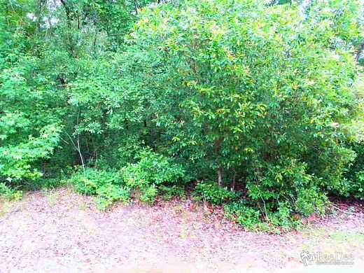1.6 Acres of Residential Land for Sale in Timmonsville, South Carolina
