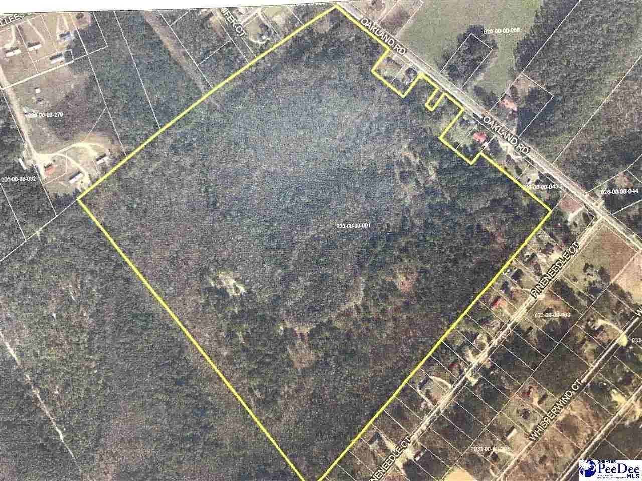 83.3 Acres of Land for Sale in Hamer, South Carolina