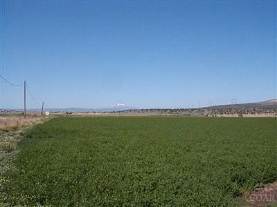 38.6 Acres of Agricultural Land for Sale in Metolius, Oregon