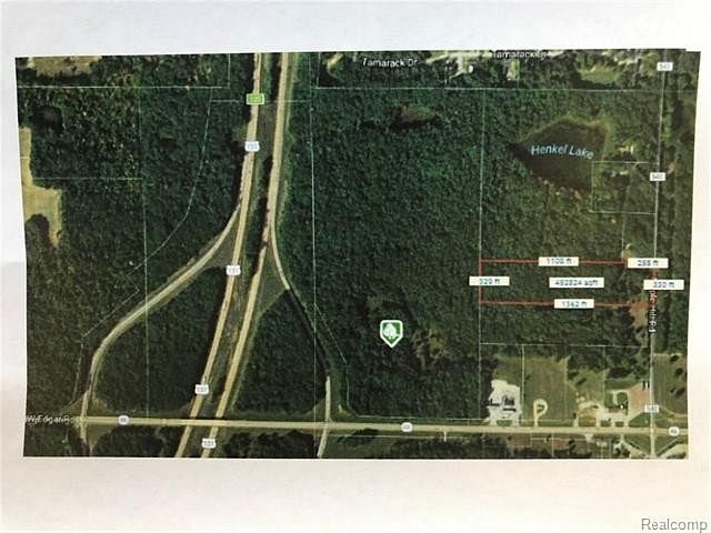74.2 Acres of Land for Sale in Howard City, Michigan