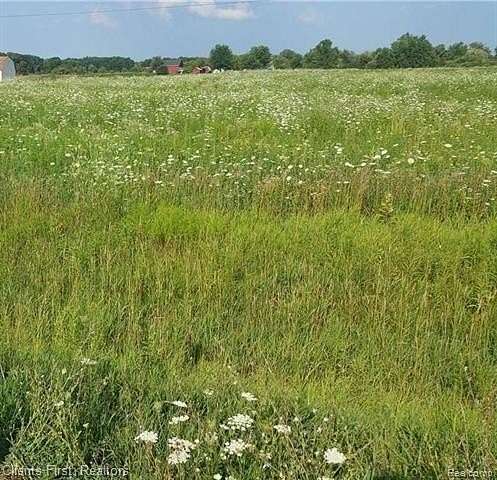 6.5 Acres of Residential Land for Sale in Mussey Township, Michigan