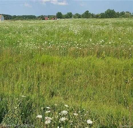 6.5 Acres of Residential Land for Sale in Mussey Township, Michigan